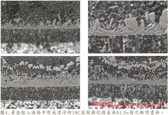 下面四張圖片為放大4500倍的SEM圖像，說明在回流焊爐熱量不足的情況下，黃金成份正要從鎳層分離融入焊錫之中的瞬間，當零件遭受外力沖擊的時候就極有可能從這一整排AuSn、、AuSn2或AuSn4的IMC處裂開。